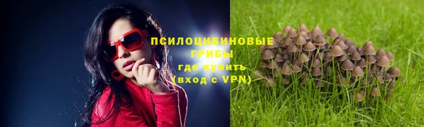 прущая мука Алзамай