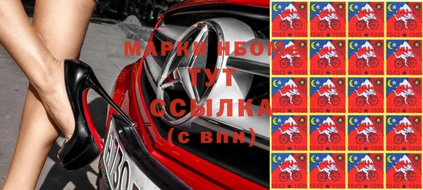 хмурый Алексин
