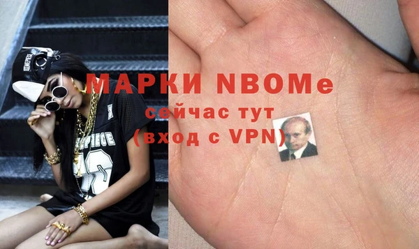 хмурый Алексин