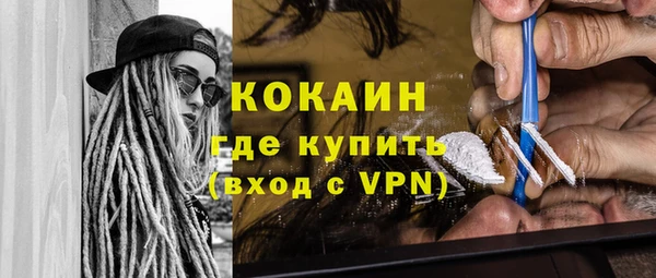 хмурый Алексин