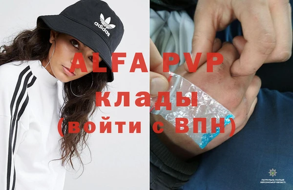 хмурый Алексин