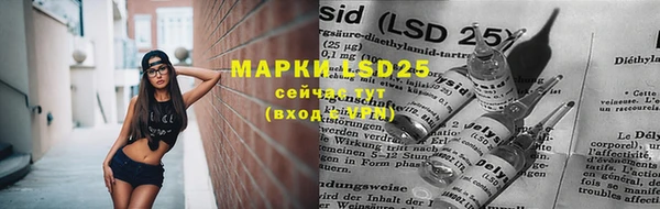 прущая мука Алзамай