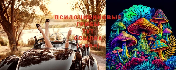 прущая мука Алзамай